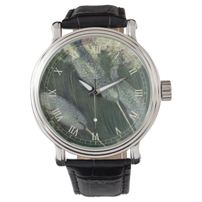 ヴィンテージナール、海洋生物クジラ海動物 腕時計 (正面)