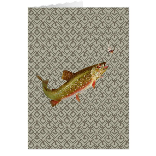 ヴィンテージニジマス・フライ (正面)