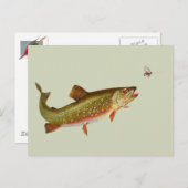 ヴィンテージニジマス・フライ ポストカード (正面/裏面)