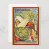 ヴィンテージニューオーリンズガーデニング種子 ポストカード (正面/裏面)