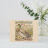 ヴィンテージニューオーリンズルイジアナレトロ糖蜜 ポストカード (スタンド正面)