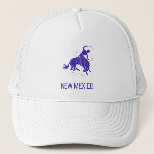ヴィンテージニューメキシコ キャップ (正面)