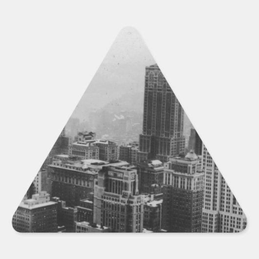 ヴィンテージニューヨークシティ 三角形シール (正面)