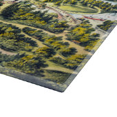 ヴィンテージニューヨーク，セントラルパークの地図1873 カッティングボード (角)