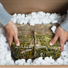 ヴィンテージニューヨーク，セントラルパークの地図1873 薄葉紙