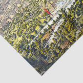 ヴィンテージニューヨーク，セントラルパークの地図1873 薄葉紙 (詳細)