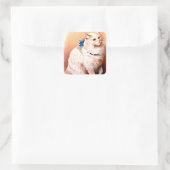 ヴィンテージネコとブルーボウ スクエアシール (バッグ)