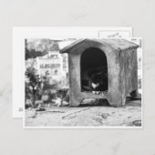 ヴィンテージネコ ポストカード (正面/裏面)