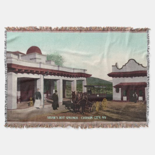 ヴィンテージネバダブランケット スローブランケット (正面)