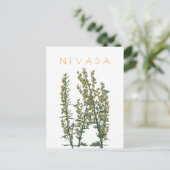 ヴィンテージネバダ州の花は世紀中頃を旅行 ポストカード (スタンド正面)