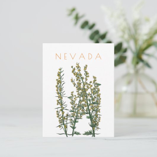 ヴィンテージネバダ州の花は世紀中頃を旅行 ポストカード (スタンド正面)