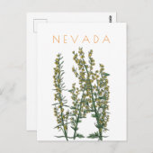 ヴィンテージネバダ州の花は世紀中頃を旅行 ポストカード (正面/裏面)