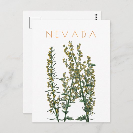 ヴィンテージネバダ州の花は世紀中頃を旅行 ポストカード (正面/裏面)