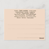 ヴィンテージノルウェーサーミとトナカイ ポストカード (裏面)