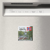 ヴィンテージノルウェースカンジナビアオスロヴィジェラン マグネット (インサイチュ (食洗機))