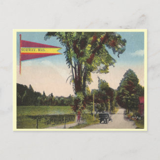 ヴィンテージノルウェーミシガン ポストカード