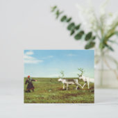 ヴィンテージノルウェー、ラプランド、トナカイを持つSami ポストカード (スタンド正面)