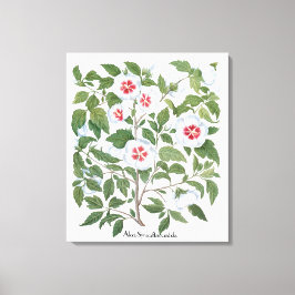 ヴィンテージハイビスカスフラワーズバイバシリウスベスラー キャンバスプリント