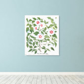 ヴィンテージハイビスカスフラワーズバイバシリウスベスラー キャンバスプリント (インサイチュ (ウッドフロア))