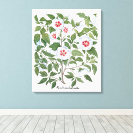 ヴィンテージハイビスカスフラワーズバイバシリウスベスラー キャンバスプリント