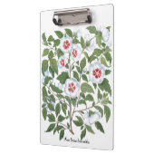 ヴィンテージハイビスカスフラワーズバイバシリウスベスラー クリップボード (左)