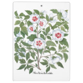 ヴィンテージハイビスカスフラワーズバイバシリウスベスラー クリップボード (裏面)