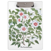 ヴィンテージハイビスカスフラワーズバイバシリウスベスラー クリップボード (正面)