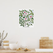 ヴィンテージハイビスカスフラワーズバイバシリウスベスラー ポスター (キッチン)