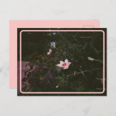 ヴィンテージハイビスカスポストカード ポストカード (正面/裏面)