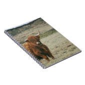 ヴィンテージハイランド牛の写真 ノートブック (右側)