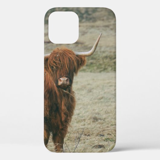 ヴィンテージハイランド牛牛の写真 Case-Mate iPhoneケース (裏面)