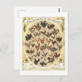 ヴィンテージハガキ ポストカード (正面/裏面)