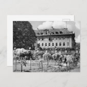 ヴィンテージハガキ ポストカード (正面/裏面)