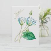 ヴィンテージハス 招待状 (スタンド正面)