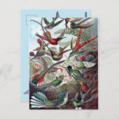 ヴィンテージハチドリ ポストカード (正面/裏面)