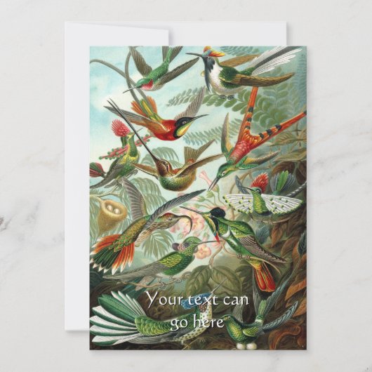 ヴィンテージハチドリ 招待状 (正面)