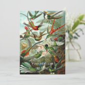 ヴィンテージハチドリ 招待状 (スタンド正面)