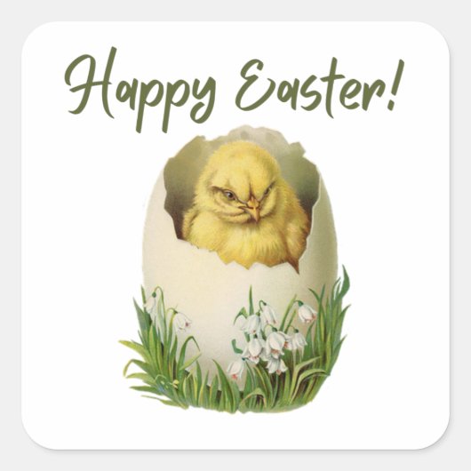 ヴィンテージハッチチキン スクエアシール (正面)