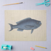 ヴィンテージハッピーブルーフィッシュエフエメラデクページ 薄葉紙 (クラフト)