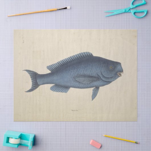 ヴィンテージハッピーブルーフィッシュエフエメラデクページ 薄葉紙 (クラフト)