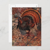 ヴィンテージハッピー感謝祭トルコ シーズンポストカード (正面/裏面)