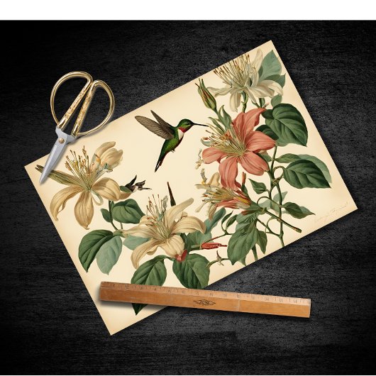 ヴィンテージハニーサックルとハミングバードの分離 薄葉紙