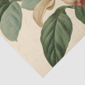 ヴィンテージハニーサックルとハミングバードの分離 薄葉紙 (詳細)