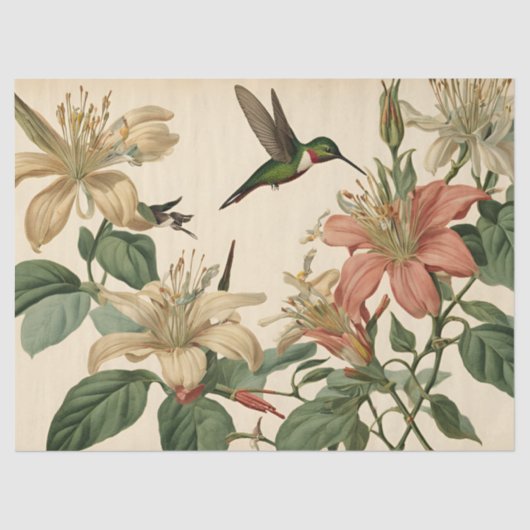 ヴィンテージハニーサックルとハミングバードの分離 薄葉紙 (正面)