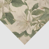 ヴィンテージハニーサックルの分離 薄葉紙 (詳細)