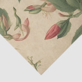 ヴィンテージハニーサックルの分離 薄葉紙 (詳細)