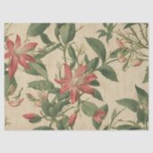 ヴィンテージハニーサックルの分離 薄葉紙 (正面)