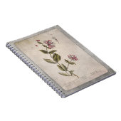 ヴィンテージハニーサックルイラストレーション(テクスチャあり) ノートブック (右側)