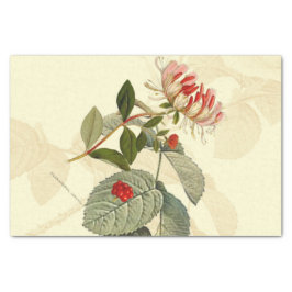 ヴィンテージハニーサックル 薄葉紙