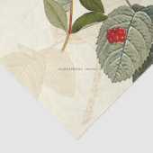 ヴィンテージハニーサックル 薄葉紙 (詳細)